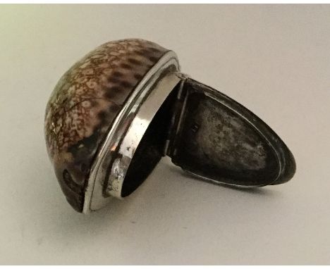 An unusual cowrie shell snuff box with silver mounts. Punched to interior, 'JB'. (Possibly John Buck of Limerick). Approx. 50