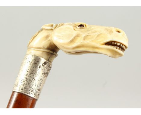 A WALKING STICK with carved ivory handle as a horse's head, with engraved silver band. Birmingham1902. 2ft 7ins long.