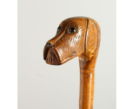 A 20TH CENTURY WALKING STICK, the handle carved as a dog's head. 92cms long.