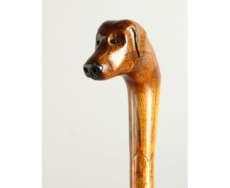 A 20TH CENTURY WALKING STICK, the handle carved as a dog's head. 96cms long.