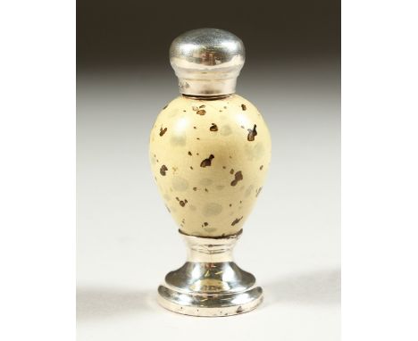 A RARE VICTORIAN SILVER MOUNTED EGG SHAPED SCENT BOTTLE. Birmingham 1885. Maker F. S. 7.5cms high.