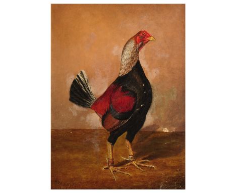 HERBERT ATKINSON (d.1936) Portrait of a fighting cock, signed and dated 1912, oil on canvas, 54.5 x 40cm