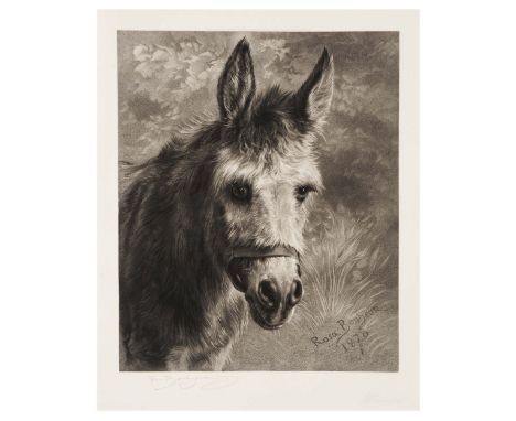 W.H. SIMMONS AFTER ROSA BONHEUR Donkey, engraving, pub. c. 1881, inscribed in pencil to the margin, 45.5 x 38cm, unframed; an