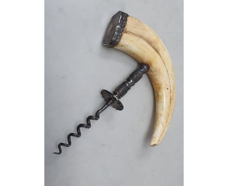 A Henshall style straight pull Boar Tusk handled Corkscrew with decorative white metal mount. 
