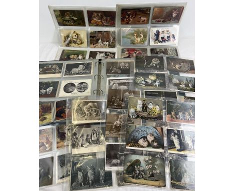 A large album containing 325 assorted Edwardian &amp; vintage cat postcards &amp; greetings cards. To include Tucks, Landors,