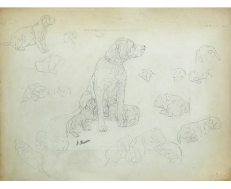 Frederic Masson (French, 19th Century Studies of terriers and retrievers all signed "F Masson" pen and ink (4)  All unframed.