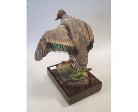 A Royal Worcester model of a green winged Teal on a stand with certificate, 21cm high  Condition seems good. No obvious damag