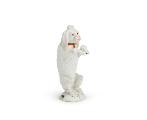 ‡ &nbspA CHELSEA PORCELAIN MODEL OF A BEGGING POODLE  CIRCA 1765  Modelled on its hind legs, and with an iron-red collar and 