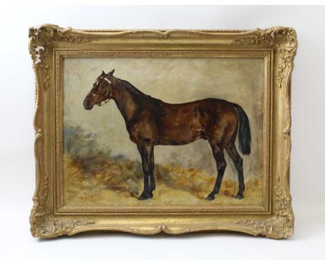 John Emms (1844 - 1912) "Isriel" study of a Horse, oil painting on canvas, 41cm x 31cm, signed and dated 1876.

Condition: Ca