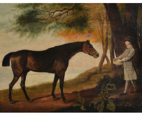 After George Stubbs Portrait of 'Shark' Oil on canvas-board 30 x 39cm. (11 3/4 x 15 3/8in.) 