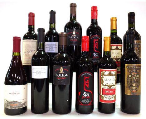 12 BOTTLES ARGENTINIAN RED WINE45° Rugientes Pinot Noir 2019; DV Catena Cabernet Franc 2020; Asda  2 x Extra Special Malbec 2