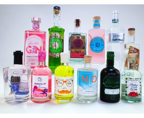 12 BOTTLES GINEkoborounice Blueberry; Pangolin Gin Pink Citrus (50cl); Crazy Co Crazy Gin Punjabi Chai (50cl); Norrbottens De