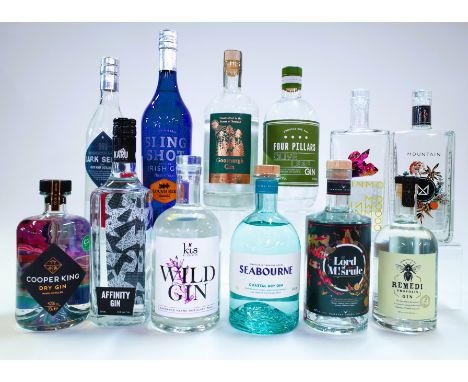 12 BOTTLES GINCooper King Dry; Karu Distillery Affinity; Kis KI Spirits Wild; Seabourne Coastal Dry; Hampton Court Gin Lord o