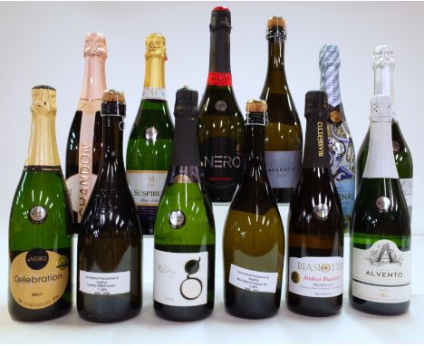 12 BOTTLES SPARKLING WINENero Celebration Brut and Brut Rosé; 2 x Prosecco Asolo Frosted and Superiore Brut; Gran Gesta Brut;