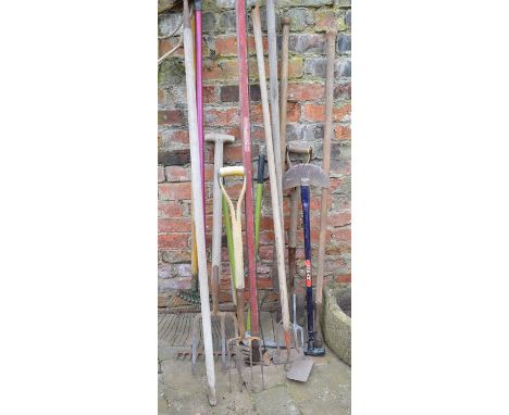 Selection of garden tools