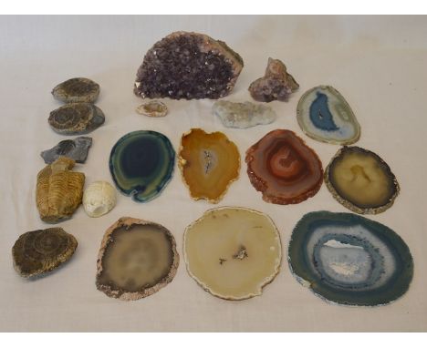 Collection of small fossils &amp; rock crystal samples/sections including amethyst&nbsp;