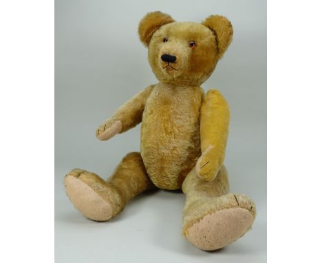 A good golden mohair Teddy bear, probably German 1920s, the straw filled bear with orange glass eyes, long snout with stitche