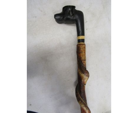 A Hazel shafted walking stick with honeysuckle twist and a carved black Labrador's head