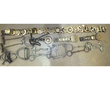 A collection of 21 old horse brasses mounted on leather straps and a collection of horse bits, hunting spurs, boot jacks