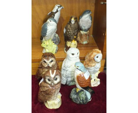 A collection of nine Beswick Beneagles Scotch whisky bird bottles, mainly birds of prey and owls, approximately 18cm high.