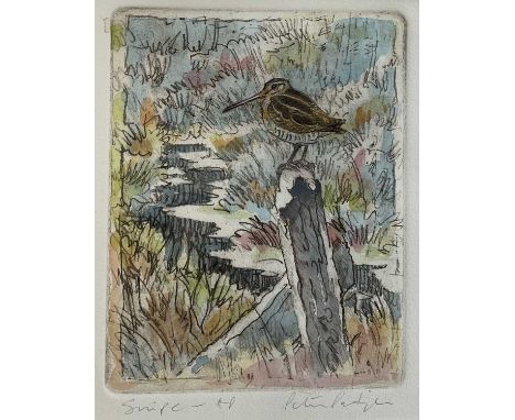 Peter Partington (b.1941) signed coloured etching - Snipe, 20cm x 16cm, in glazed frame.Provenance: the artist's studio