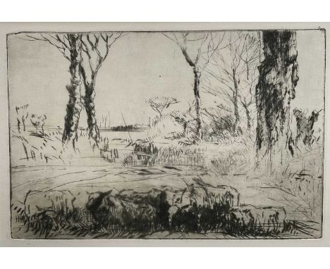 Harry Becker (1865-1928) etching - Sheep in Landscape, 18cm x 27cm, in glazed frame