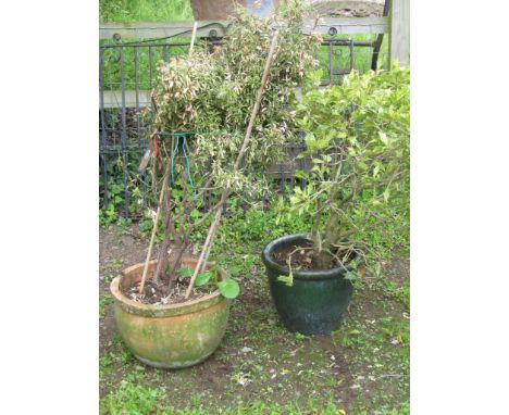 A contemporary glazed garden planter of circular slightly tapered form together with a weathered terracotta example both cont