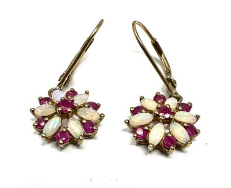 9ct gold ruby and opal drop earrings (2.2g) 