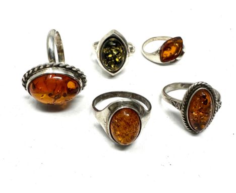 Five Silver Amber Set Rings (28g) 