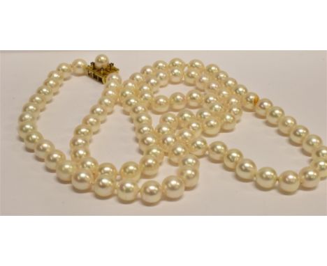 A CULTURED-PEARL SINGLE ROW NECKLACE the 91 round white-rose beads approx. 7.4mm-7.9mm diameter, knotted on a rectangular cla