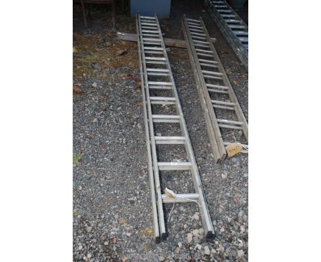 A thirteen rung double extension aluminium ladder.