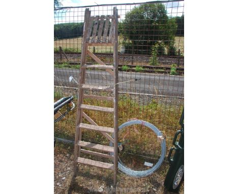 A roll of galvanised fencing wire and a six rung wooden step ladder. 