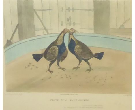 C R Stock - Set of 6 proof coloured cock fighting engravings each 21 x 24cms