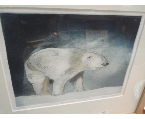 A print Polar Bear after Pat Schaverien 28/40