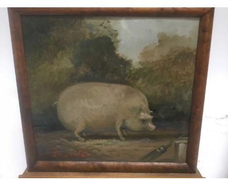 English School, oil on board, Portrait of a pig, indistinctly signed and dated, 20 x 25cm, framed