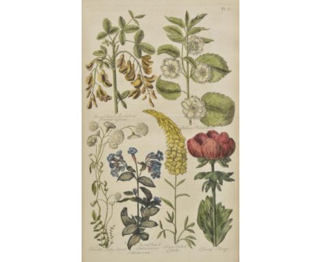 Hill (John). Eden: or, a Compleat Body of Gardening. Containing Plain and Familiar Directions for Raising the several useful 
