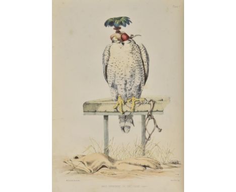 Salvin (Francis Henry and Brodrick, William). Falconry in the British Isles, 1st edition, John Van Voorst, 1855,  24 hand-col