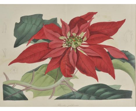 Paxton (Joseph). Paxton's Magazine of Botany, and Register of Flowering Plants, volumes 2 & 4 only, 1836-38, 86 hand-coloured