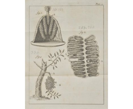 Jardine (Sir William). The Naturalist's Library, 27 volumes, 1855-66,  comprising Mammalia, Volumes I-IV, VI-XI, Ornithology,