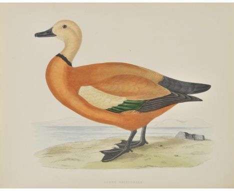 Morris (Beverley R.). British Game Birds and Wildfowl, circa 1880, 60 hand-coloured engraved plates, hinges a little tender, 