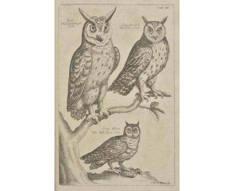 Willughby (Francis). The Ornithology of Francis Willughby of Middleton in the County of Warwick..., in Three Books, wherein a