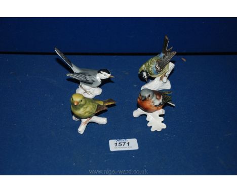 Four small Goebel birds: Chaffinch, Greenfinch, White Wagtail and Great Tit.