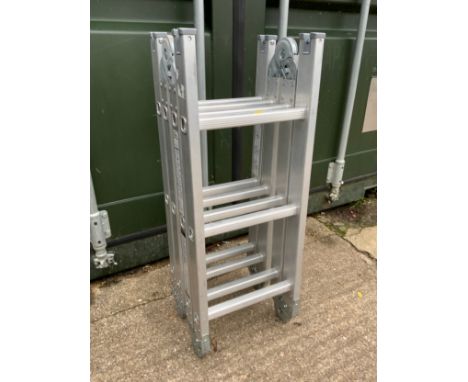 Folding Ladder 