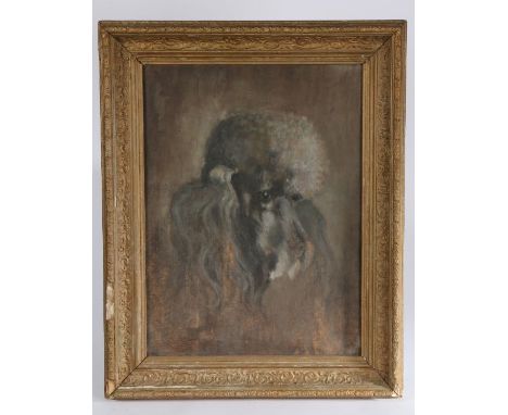 20th Century portrait of a grey poodle, oil on board, initialled E.WK and dated 1962 verso, housed in an acanthus leaf scroll