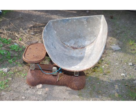 Set of vegetable scales, no weights