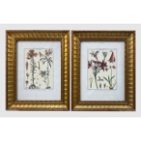 Mixed Set of Botanical Prints