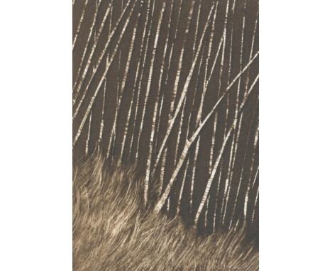 
	
		Kate Kirk
		Birches 1, 2025
		Monoprint on paper
		Signed on Verso
		10 x 15cm (3&#190; x 5&#190; in.)
		About
		Kate Ki