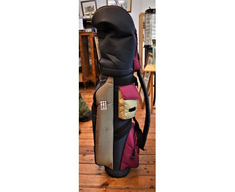 Petron Impala golf clubs and carry case. Plus a new technique club. Boss case and a (2) bags of golf balls