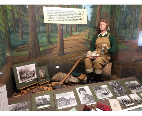 The War Gallery "TIMBER CORPS W.L.A." display "The Timber Corps W.L.A." display to include arm bands, books, photograhs, and 