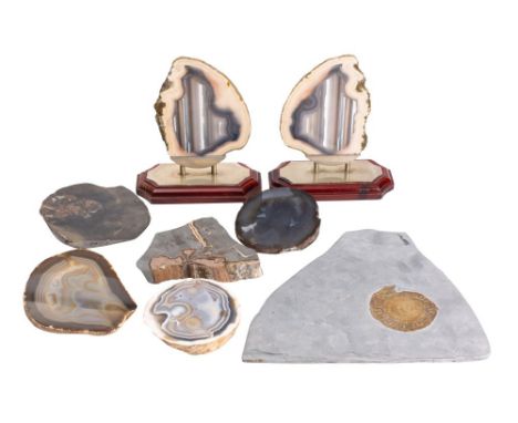 A small collection of polished agate specimens, together with an ammonite fossil and tree trunk fossil (8).